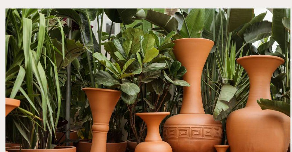Curated pots and planters